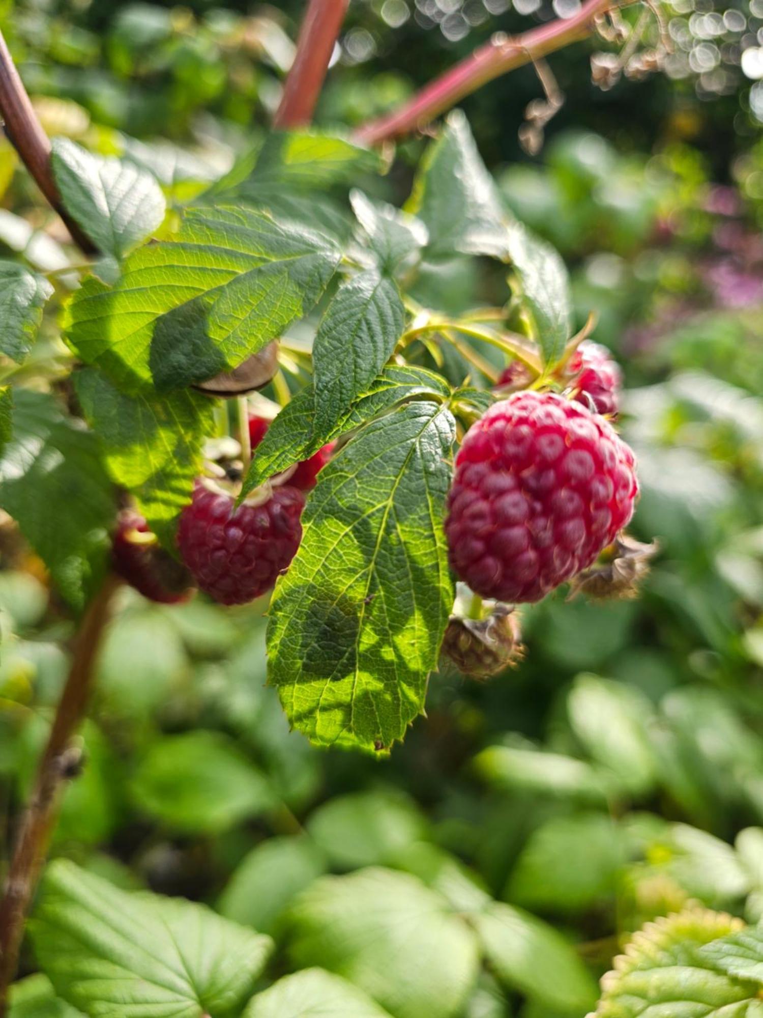 Kaszubskie Poddasze Golubie Bagian luar foto
